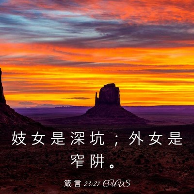 Picture 03 - 箴 言 23:27 CUVS - 妓 女 是 深 坑 ； 外 女 是 窄 阱 - Bible Verse Picture
