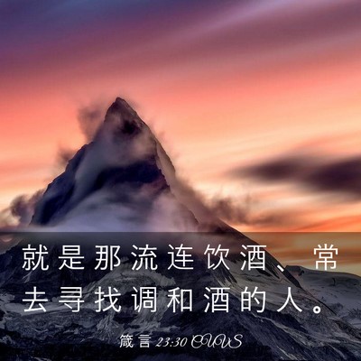 Picture 03 - 箴 言 23:30 CUVS - 就 是 那 流 连 饮 酒 、 常 去 寻 找 - Bible Verse Picture