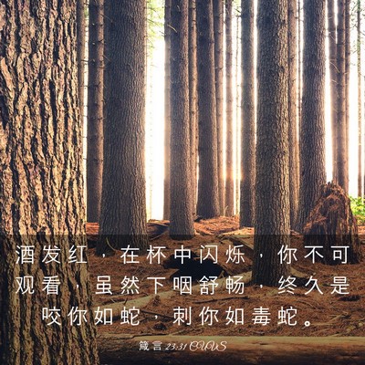 Picture 03 - 箴 言 23:31 CUVS - 酒 发 红 ， 在 杯 中 闪 烁 ， 你 不 - Bible Verse Picture