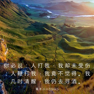 Picture 03 - 箴 言 23:35 CUVS - 你 必 说 ： 人 打 我 ， 我 却 未 受 - Bible Verse Picture