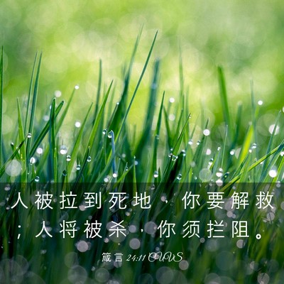 Picture 03 - 箴 言 24:11 CUVS - 人 被 拉 到 死 地 ， 你 要 解 救 ； - Bible Verse Picture