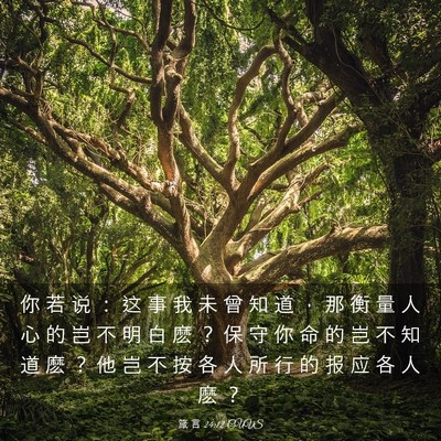 Picture 03 - 箴 言 24:12 CUVS - 你 若 说 ： 这 事 我 未 曾 知 道 ， - Bible Verse Picture