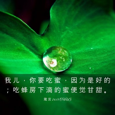 Picture 03 - 箴 言 24:13 CUVS - 我 儿 ， 你 要 吃 蜜 ， 因 为 是 好 - Bible Verse Picture