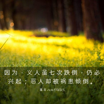 Picture 03 - 箴 言 24:16 CUVS - 因 为 ， 义 人 虽 七 次 跌 倒 ， 仍 - Bible Verse Picture