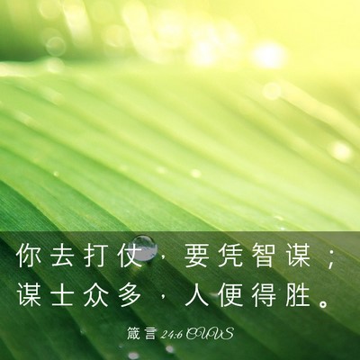 Picture 03 - 箴 言 24:6 CUVS - 你 去 打 仗 ， 要 凭 智 谋 ； 谋 士 - Bible Verse Picture