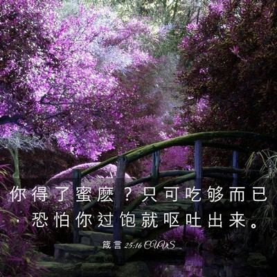Picture 03 - 箴 言 25:16 CUVS - 你 得 了 蜜 麽 ？ 只 可 吃 够 而 已 - Bible Verse Picture