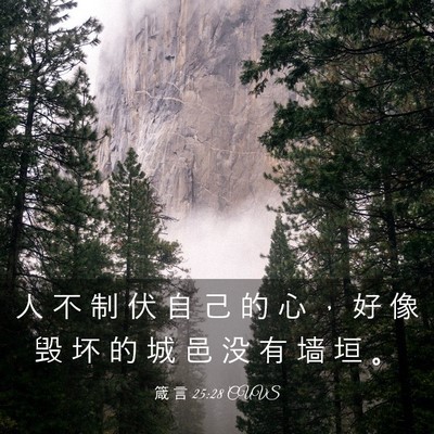 Picture 03 - 箴 言 25:28 CUVS - 人 不 制 伏 自 己 的 心 ， 好 像 毁 - Bible Verse Picture