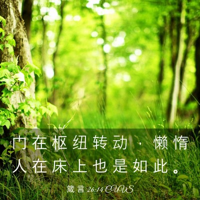 Picture 03 - 箴 言 26:14 CUVS - 门 在 枢 纽 转 动 ， 懒 惰 人 在 床 - Bible Verse Picture