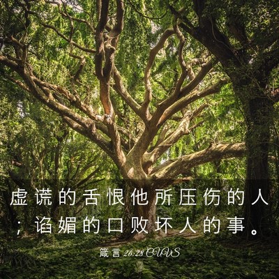 Picture 03 - 箴 言 26:28 CUVS - 虚 谎 的 舌 恨 他 所 压 伤 的 人 ； - Bible Verse Picture