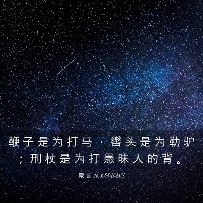 Picture 03 - 箴 言 26:3 CUVS - 鞭 子 是 为 打 马 ， 辔 头 是 为 勒 - Bible Verse Picture