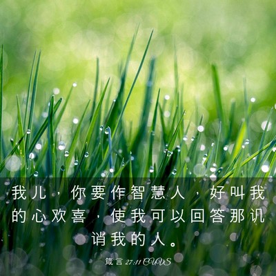 Picture 03 - 箴 言 27:11 CUVS - 我 儿 ， 你 要 作 智 慧 人 ， 好 叫 - Bible Verse Picture