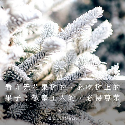 Picture 03 - 箴 言 27:18 CUVS - 看 守 无 花 果 树 的 ， 必 吃 树 上 - Bible Verse Picture