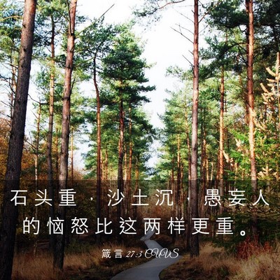 Picture 03 - 箴 言 27:3 CUVS - 石 头 重 ， 沙 土 沉 ， 愚 妄 人 的 - Bible Verse Picture