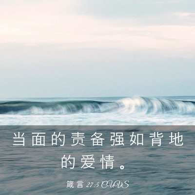 Picture 03 - 箴 言 27:5 CUVS - 当 面 的 责 备 强 如 背 地 的 爱 情 - Bible Verse Picture