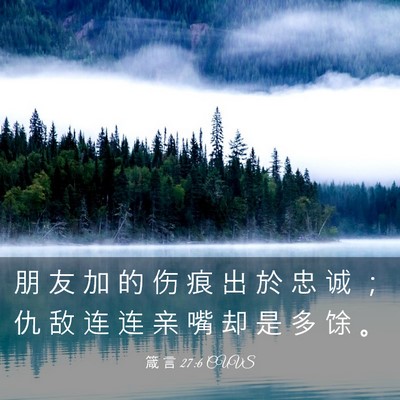 Picture 03 - 箴 言 27:6 CUVS - 朋 友 加 的 伤 痕 出 於 忠 诚 ； 仇 - Bible Verse Picture