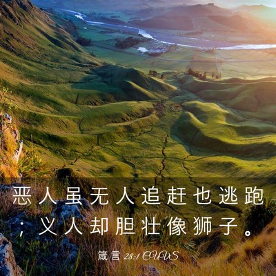 Picture 03 - 箴 言 28:1 CUVS - 恶 人 虽 无 人 追 赶 也 逃 跑 ； 义 - Bible Verse Picture