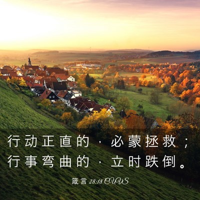 Picture 03 - 箴 言 28:18 CUVS - 行 动 正 直 的 ， 必 蒙 拯 救 ； 行 - Bible Verse Picture