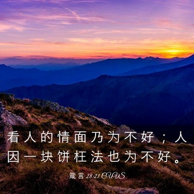 Picture 03 - 箴 言 28:21 CUVS - 看 人 的 情 面 乃 为 不 好 ； 人 因 - Bible Verse Picture