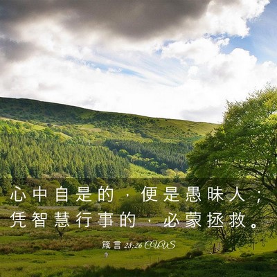 Picture 03 - 箴 言 28:26 CUVS - 心 中 自 是 的 ， 便 是 愚 昧 人 ； - Bible Verse Picture