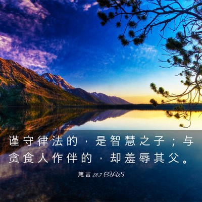 Picture 03 - 箴 言 28:7 CUVS - 谨 守 律 法 的 ， 是 智 慧 之 子 ； - Bible Verse Picture