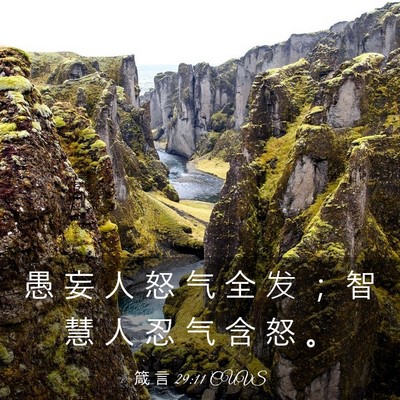 Picture 03 - 箴 言 29:11 CUVS - 愚 妄 人 怒 气 全 发 ； 智 慧 人 忍 - Bible Verse Picture