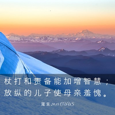 Picture 03 - 箴 言 29:15 CUVS - 杖 打 和 责 备 能 加 增 智 慧 ； 放 - Bible Verse Picture