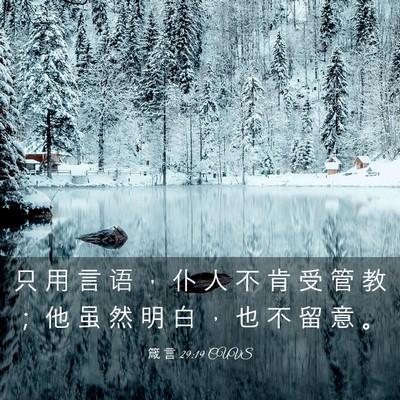 Picture 03 - 箴 言 29:19 CUVS - 只 用 言 语 ， 仆 人 不 肯 受 管 教 - Bible Verse Picture