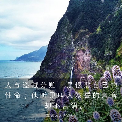 Picture 03 - 箴 言 29:24 CUVS - 人 与 盗 贼 分 赃 ， 是 恨 恶 自 己 - Bible Verse Picture