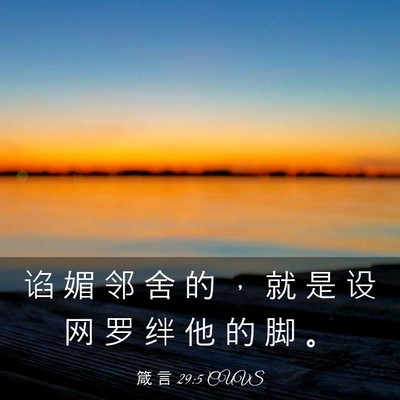 Picture 03 - 箴 言 29:5 CUVS - 谄 媚 邻 舍 的 ， 就 是 设 网 罗 绊 - Bible Verse Picture