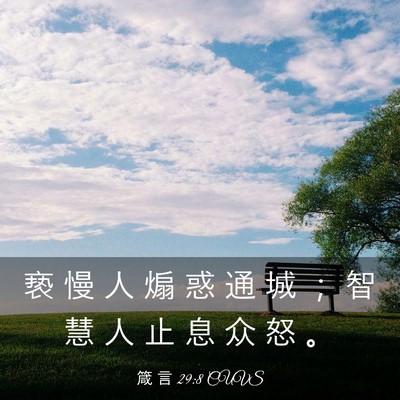 Picture 03 - 箴 言 29:8 CUVS - 亵 慢 人 煽 惑 通 城 ； 智 慧 人 止 - Bible Verse Picture