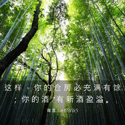 Picture 03 - 箴 言 3:10 CUVS - 这 样 ， 你 的 仓 房 必 充 满 有 馀 - Bible Verse Picture