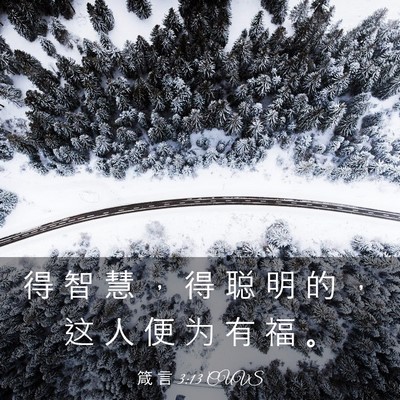Picture 03 - 箴 言 3:13 CUVS - 得 智 慧 ， 得 聪 明 的 ， 这 人 便 - Bible Verse Picture