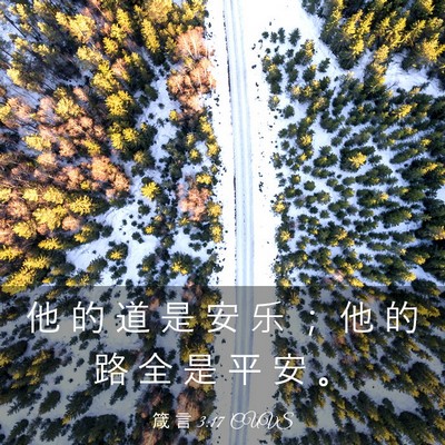 Picture 03 - 箴 言 3:17 CUVS - 他 的 道 是 安 乐 ； 他 的 路 全 是 - Bible Verse Picture