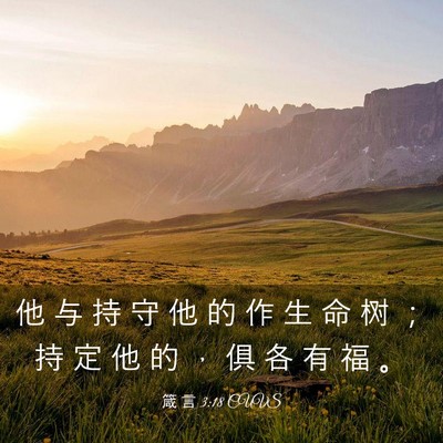 Picture 03 - 箴 言 3:18 CUVS - 他 与 持 守 他 的 作 生 命 树 ； 持 - Bible Verse Picture