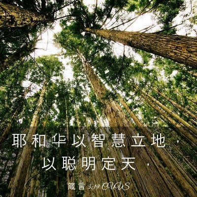Picture 03 - 箴 言 3:19 CUVS - 耶 和 华 以 智 慧 立 地 ， 以 聪 明 - Bible Verse Picture