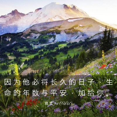 Picture 03 - 箴 言 3:2 CUVS - 因 为 他 必 将 长 久 的 日 子 ， 生 - Bible Verse Picture