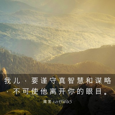 Picture 03 - 箴 言 3:21 CUVS - 我 儿 ， 要 谨 守 真 智 慧 和 谋 略 - Bible Verse Picture