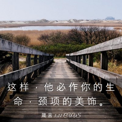 Picture 03 - 箴 言 3:22 CUVS - 这 样 ， 他 必 作 你 的 生 命 ， 颈 - Bible Verse Picture