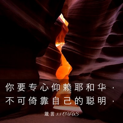 Picture 03 - 箴 言 3:5 CUVS - 你 要 专 心 仰 赖 耶 和 华 ， 不 可 - Bible Verse Picture