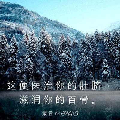 Picture 03 - 箴 言 3:8 CUVS - 这 便 医 治 你 的 肚 脐 ， 滋 润 你 - Bible Verse Picture