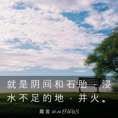 Picture 03 - 箴 言 30:16 CUVS - 就 是 阴 间 和 石 胎 ， 浸 水 不 足 - Bible Verse Picture
