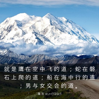 Picture 03 - 箴 言 30:19 CUVS - 就 是 鹰 在 空 中 飞 的 道 ； 蛇 在 - Bible Verse Picture