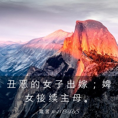 Picture 03 - 箴 言 30:23 CUVS - 丑 恶 的 女 子 出 嫁 ； 婢 女 接 续 - Bible Verse Picture