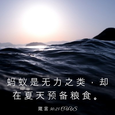 Picture 03 - 箴 言 30:25 CUVS - 蚂 蚁 是 无 力 之 类 ， 却 在 夏 天 - Bible Verse Picture