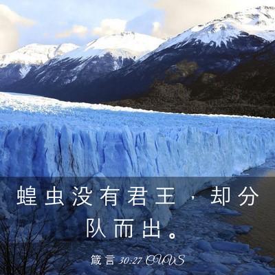 Picture 03 - 箴 言 30:27 CUVS - 蝗 虫 没 有 君 王 ， 却 分 队 而 出 - Bible Verse Picture