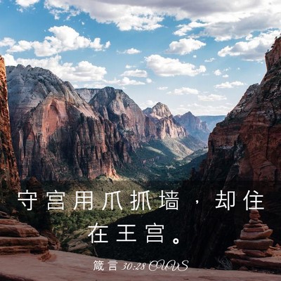 Picture 03 - 箴 言 30:28 CUVS - 守 宫 用 爪 抓 墙 ， 却 住 在 王 宫 - Bible Verse Picture