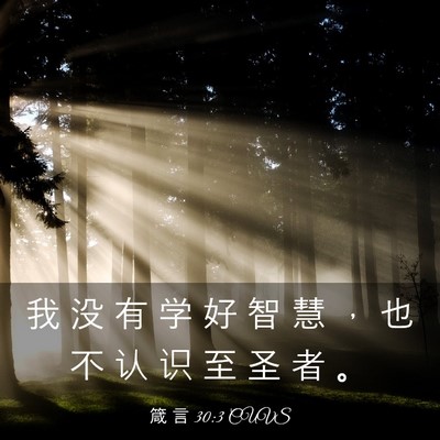 Picture 03 - 箴 言 30:3 CUVS - 我 没 有 学 好 智 慧 ， 也 不 认 识 - Bible Verse Picture