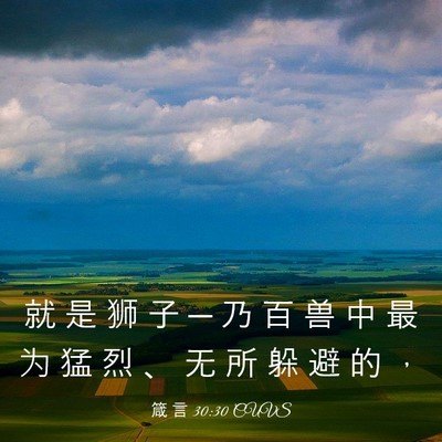Picture 03 - 箴 言 30:30 CUVS - 就 是 狮 子 ─ 乃 百 兽 中 最 为 猛 - Bible Verse Picture