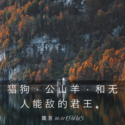 Picture 03 - 箴 言 30:31 CUVS - 猎 狗 ， 公 山 羊 ， 和 无 人 能 敌 - Bible Verse Picture