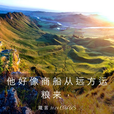 Picture 03 - 箴 言 31:14 CUVS - 他 好 像 商 船 从 远 方 运 粮 来 - Bible Verse Picture